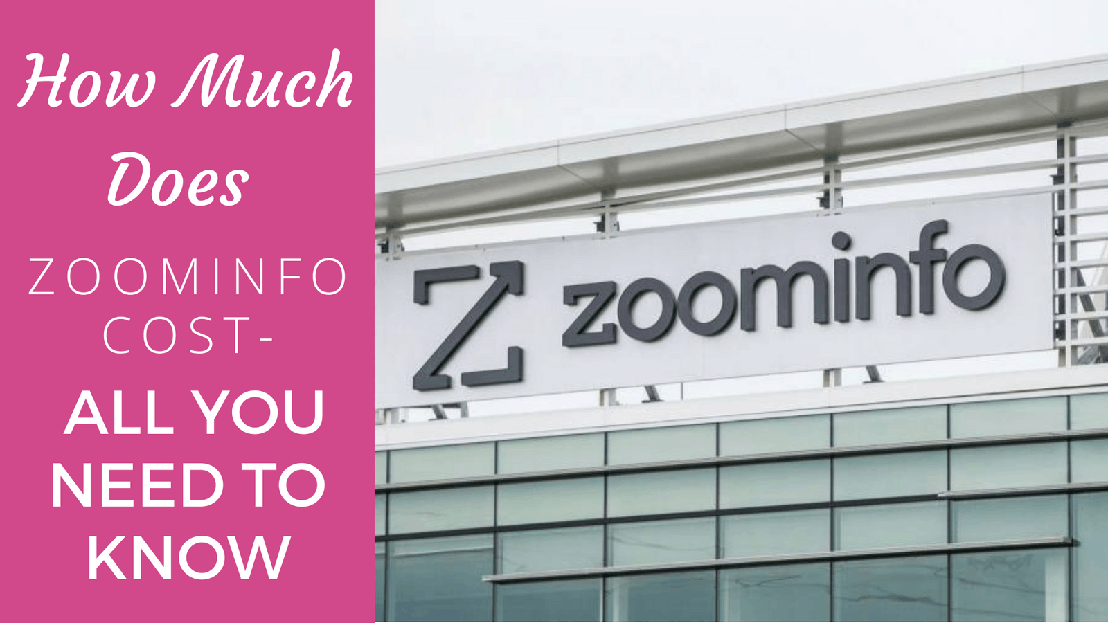 How Much Does ZoomInfo Cost All You Need To Know